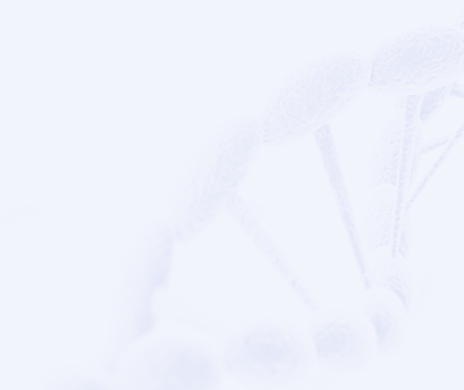 南宫NG·28(集团)相信品牌力量有限公司